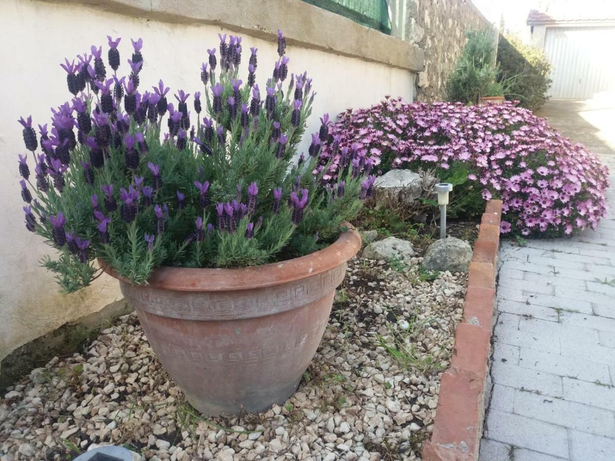 Bed and Breakfast Il Vaso Di Creta Ragusa Zewnętrze zdjęcie